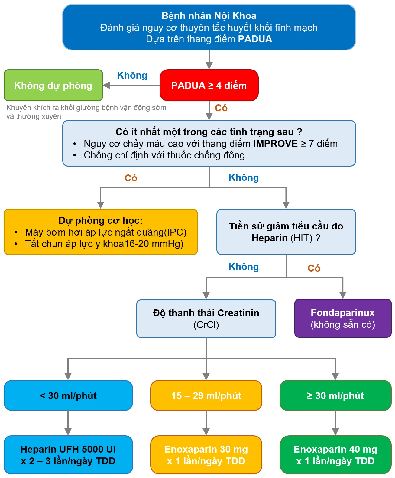 Thang điểm improve: đánh giá nguy cơ chảy máu để lựa chọn biện pháp dự phòng thích hợp