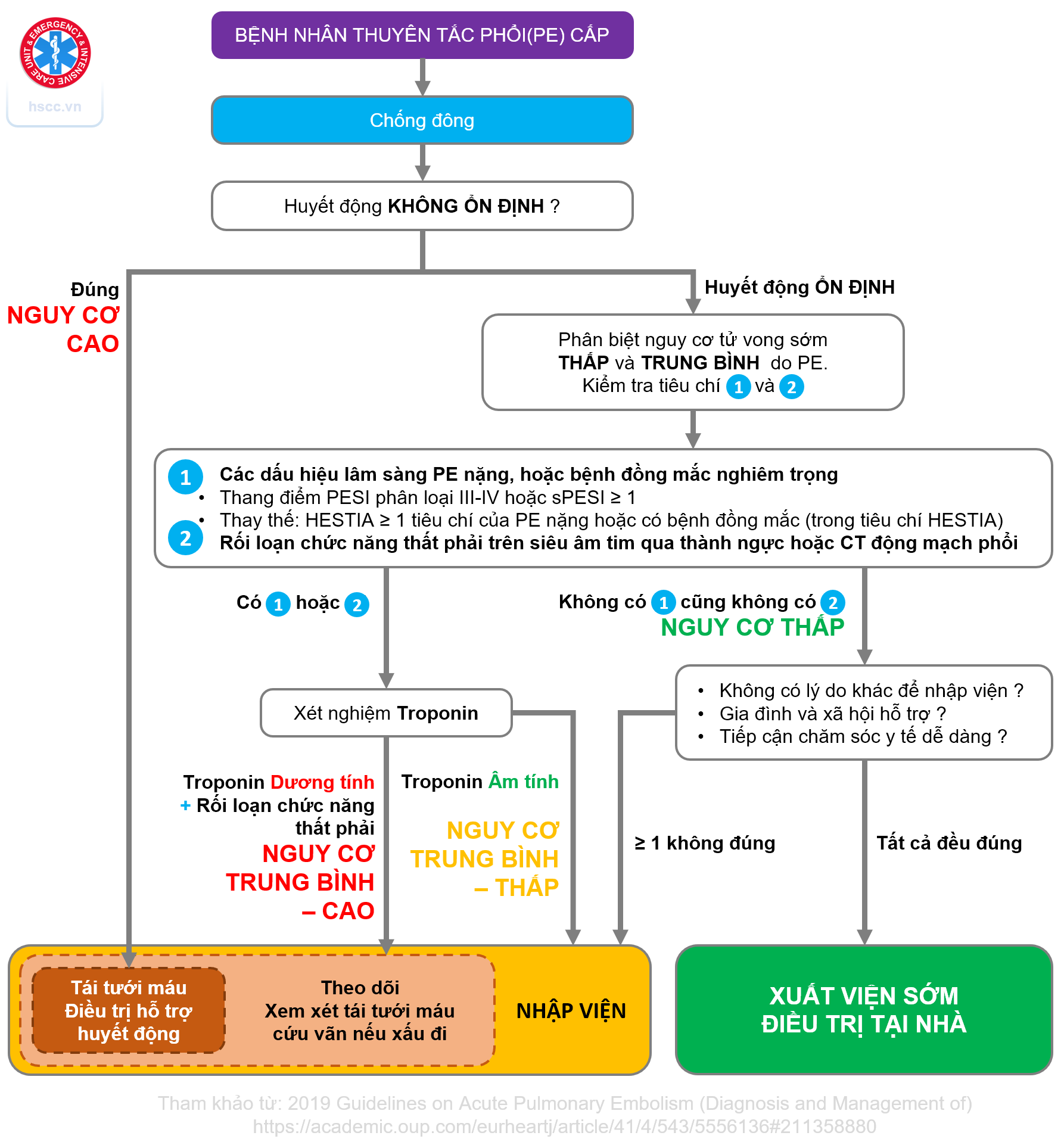 Thang điểm pesi (pulmonary embolism severity index): tiên lượng mức độ nặng ở bệnh nhân thuyên tắc động mạch phổi